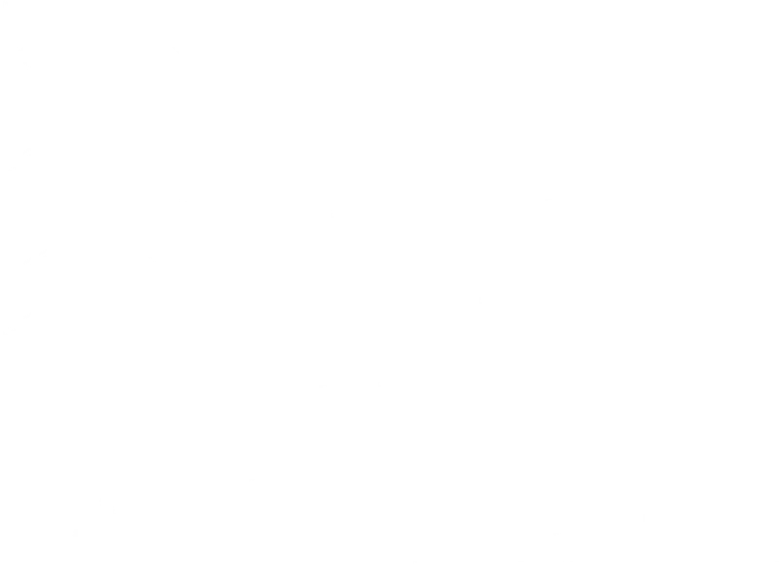 Raichi Dance School